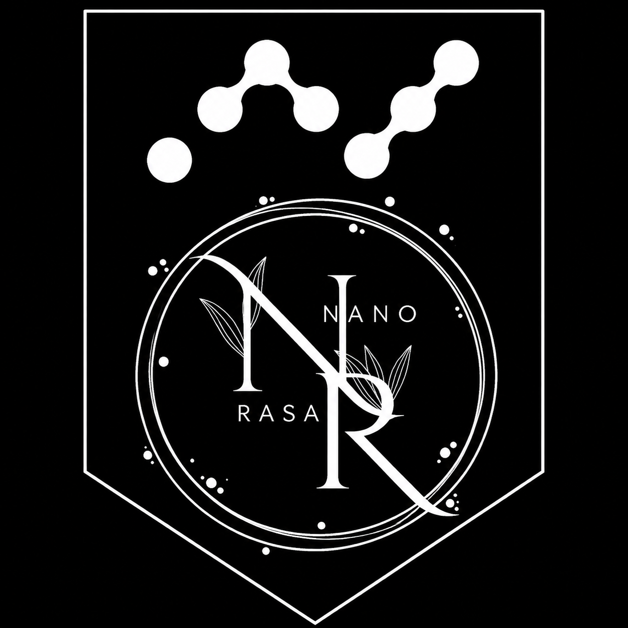 Nano Rasa